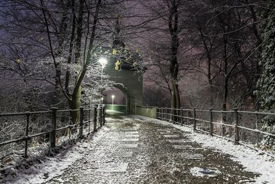 Empty footpath along bare trees
