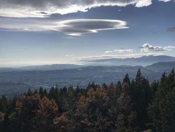 Scenic view of forest against sky during autumn