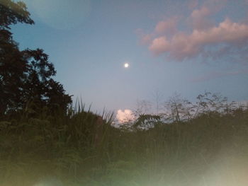 Scenic view of moon in sky at night