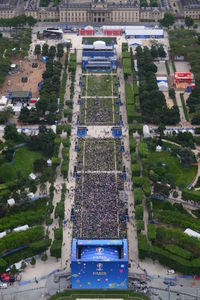 High angle view of traffic on tree