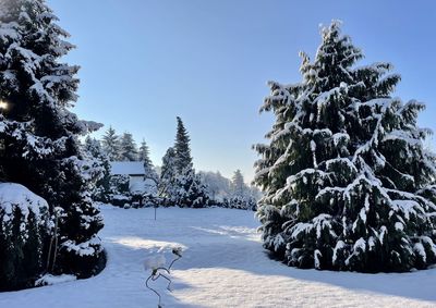 Trees on snow covered landscape against sky