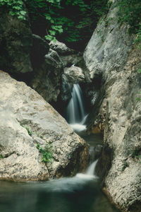 Scenic view of waterfall in forest