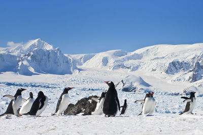 Scenic view of snowcapped mountains against clear sky