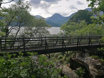 Scenic view of trees and mountains against sky