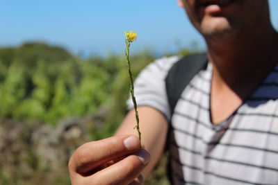 Close-up of hand holding plant on field