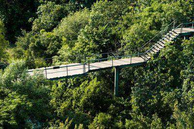 High angle view of bridge in forest