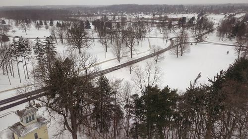 High angle view of trees by lake