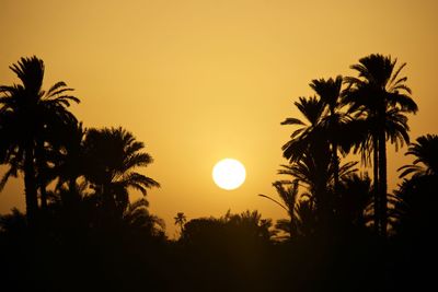 Low angle view of silhouette trees against sky during sunset