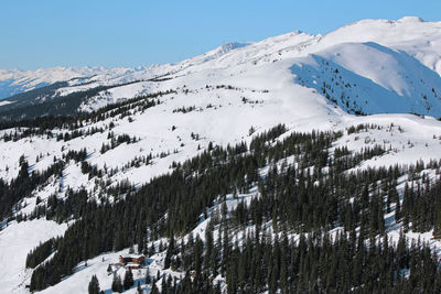 Blue sky, evergreen forest, snow slopes and summits of sunny alps in winter austria