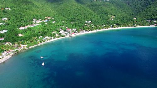 High angle view of swimming in sea