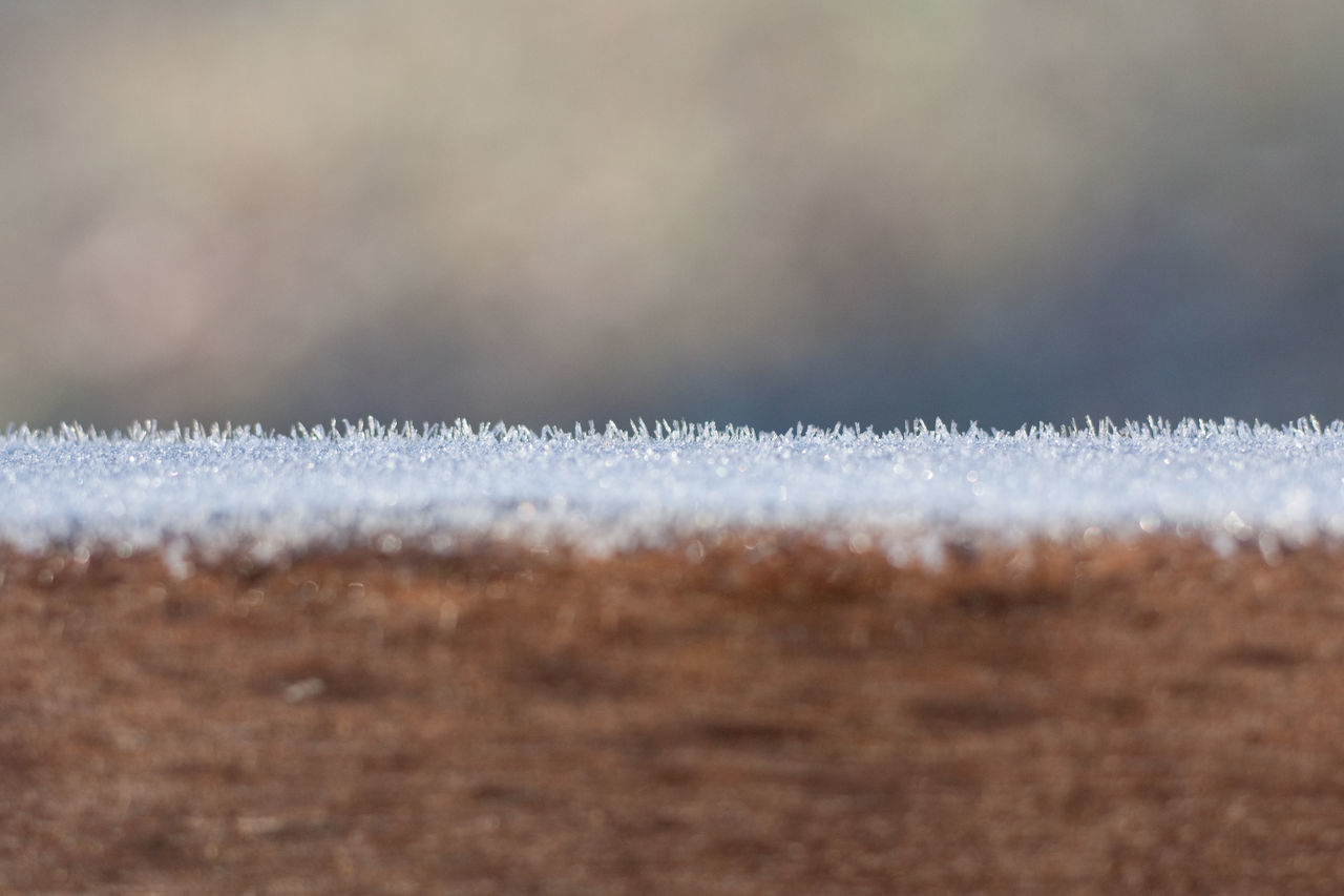 CLOSE-UP OF FROST ON FIELD