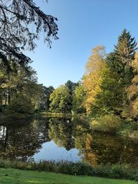 Reflection of trees in lake against sky