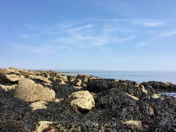 Rocks on beach against sky