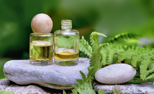 Bottles of essential oils on a stone among green plant