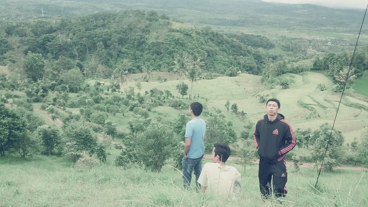 lifestyles, leisure activity, casual clothing, mountain, full length, tree, young adult, person, standing, young men, rear view, togetherness, backpack, nature, landscape, bonding