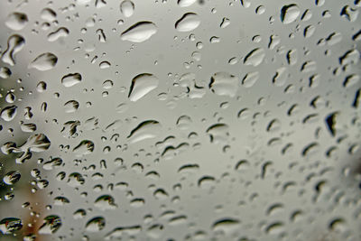 Close-up of water drops on leaf