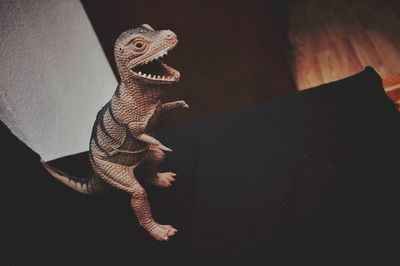 Close-up of a t-rex toy