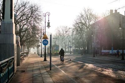 Rear view of man riding bicycle on road in city