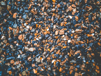 Full frame shot of pebbles on beach