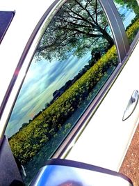 Low angle view of cropped car against sky