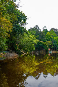 Scenic view of lake by trees against sky