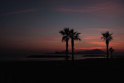 Silhouette palm trees on beach against sky at sunset