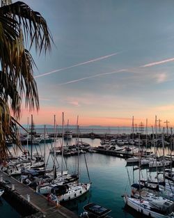 Boats moored in harbor at sunset