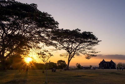 Trees on field against sky during sunset