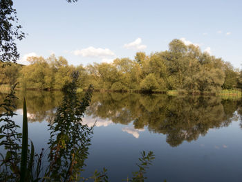 Reflection of trees in lake against sky