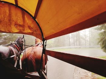 Low section of man in car