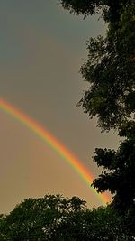 Low angle view of rainbow against sky