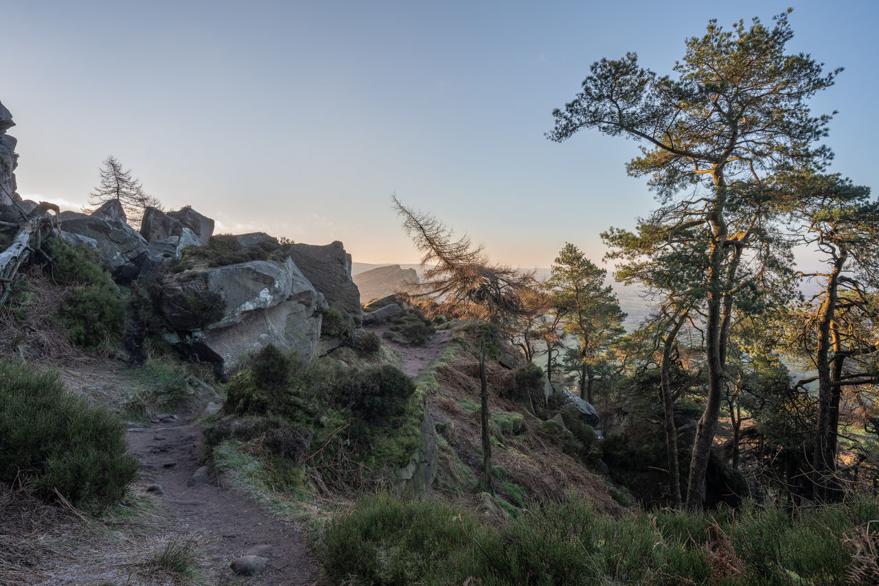 wilderness, tree, plant, nature, sky, mountain, environment, landscape, land, scenics - nature, ridge, beauty in nature, travel, trail, rock, natural environment, travel destinations, pinaceae, no people, coniferous tree, pine tree, forest, tourism, valley, outdoors, non-urban scene, pine woodland, tranquility, clear sky, sunset, mountain range, tranquil scene, autumn, blue, cloud, architecture