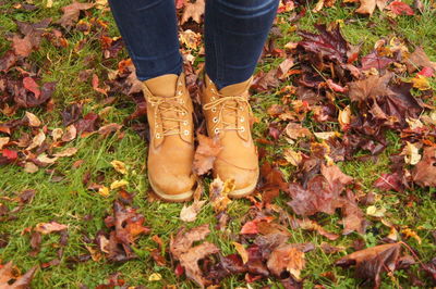 Low section of man standing on autumn leaves