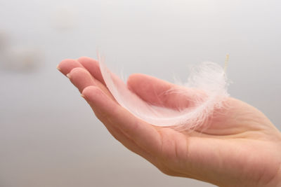 Close-up of hand holding glass over white background