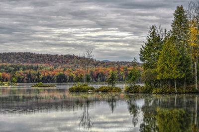 Scenic view of lake by trees against sky