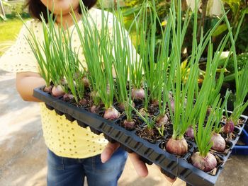 Rear view of girl holding plants on field