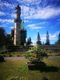 Trees and plants against sky