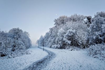 Snow covered road amidst trees against clear sky