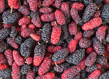 Full frame shot of mulberries