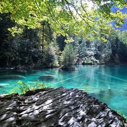 Rocks in a river