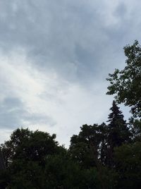 Low angle view of trees against cloudy sky