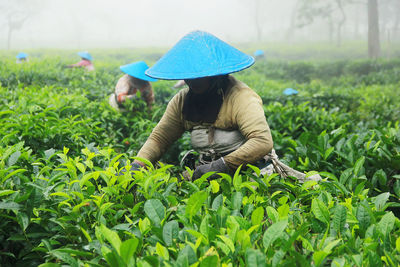 Woman working on field