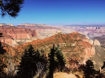 Panoramic view of trees on mountain