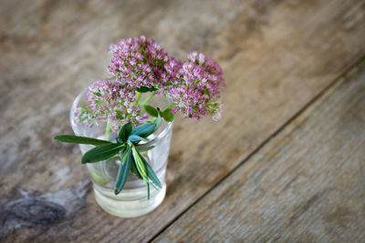 High angle view of purple flowering plant on table