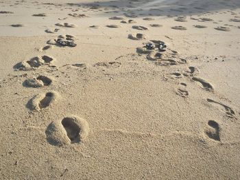 High angle view of footprints on sand at beach