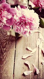 Close-up of pink flowers