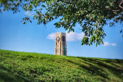 Trees on field against sky