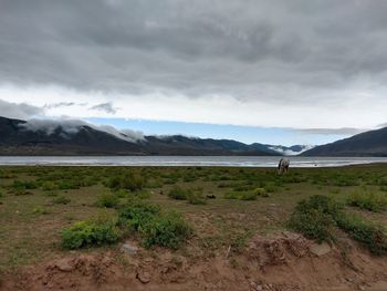 Scenic view of lake against cloudy sky