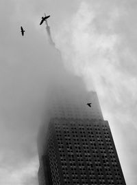 Low angle view of airplane flying in sky