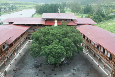 Scenic view of plants and trees